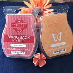 🌸 Scentsy: 10 for 2: Please read description